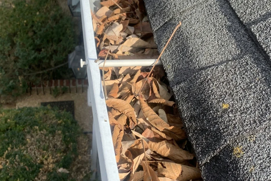 Gutter Cleaning Broussard